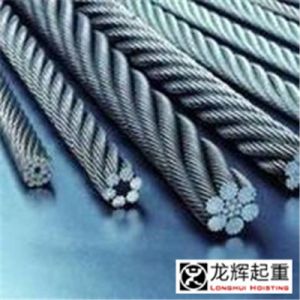 ���˱��o(h��)���ؙC(j��)е�g�P�|�K�����_�������Ď��(xi��ng)��